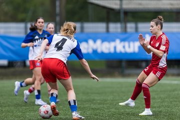 Bild 184 - F Hamburger SV 2 - SpVg Aurich : Ergebnis: 1:1